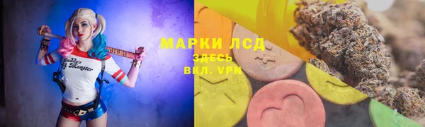 винт Белокуриха