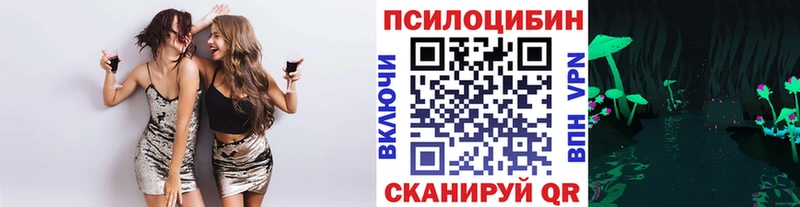 Псилоцибиновые грибы Psilocybe где можно купить наркотик Набережные Челны